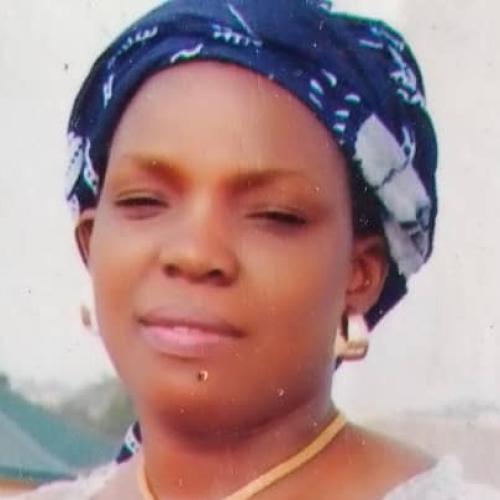 Profile picture of Ngozi Theresa Ikedi