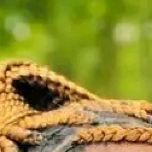 Profile picture of Okonkwo chinyere Cynthia