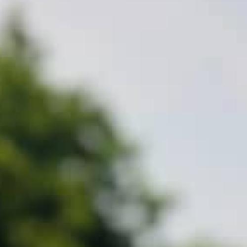 Profile picture of NNAEMEKA JOY MMESOMACHUKWU