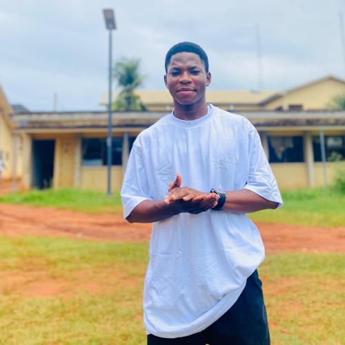 Profile picture of Amaechi Mmesomachukwu GodLiveth