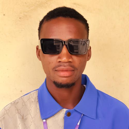 Profile picture of OFIAELI CHUKWUEBUKA