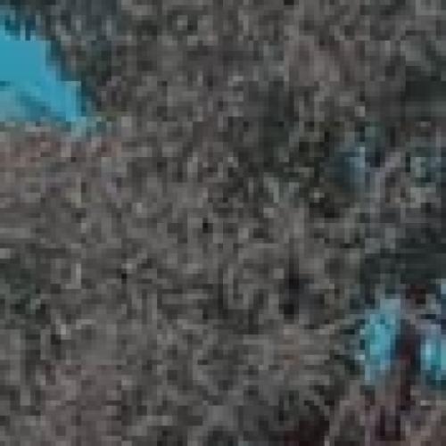 Profile picture of Iloanya ugochukwu Daniel