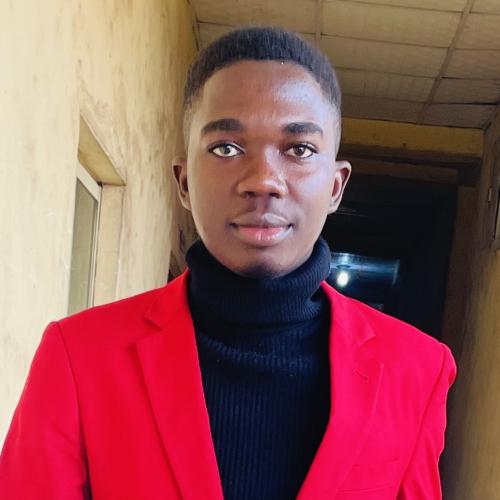 Profile picture of Ndianefo Francis Uchechukwu