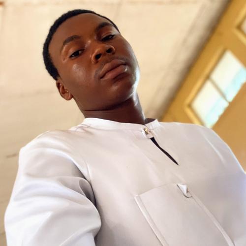 Profile picture of Ezenne Christopher chukwuemeka