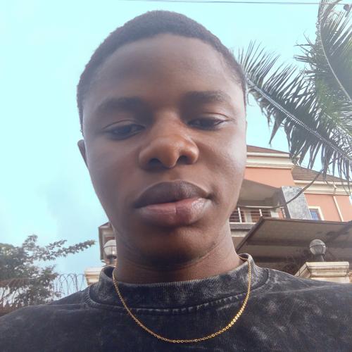 Profile picture of Okonkwo Izuchukwu S . C