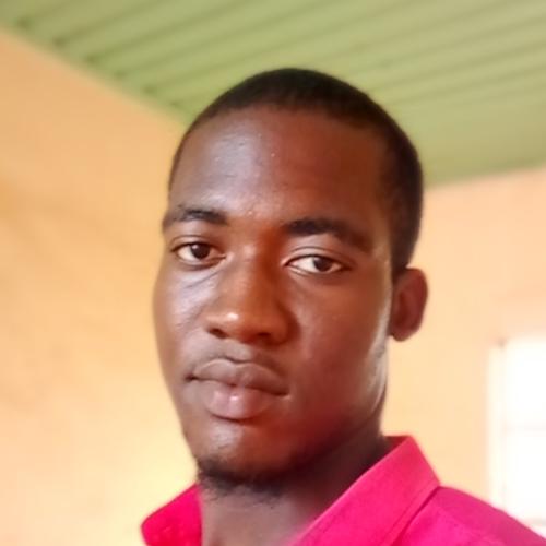 Profile picture of Okafor Godwin Chiemerie