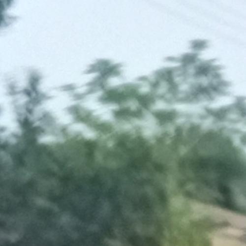 Profile picture of Gospel Ajom ogouba