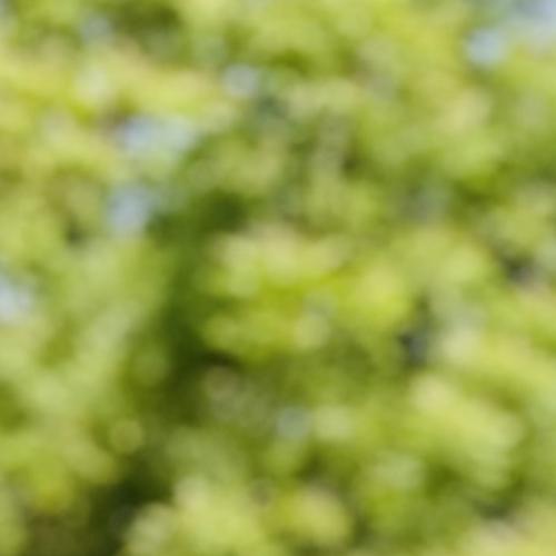 Profile picture of OGUGUA EMMANUELLA CHIKODILI