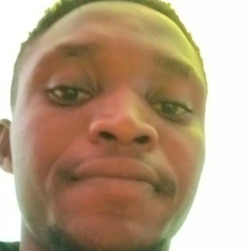 Profile picture of Nwachukwu Reinhard