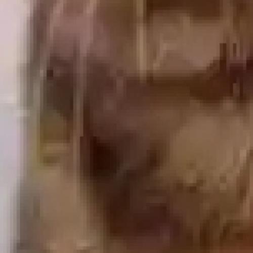 Profile picture of Uzokife Favour Ebere