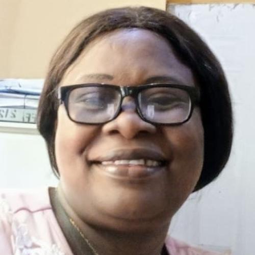 Profile picture of Uchenna Godgive Nwosu