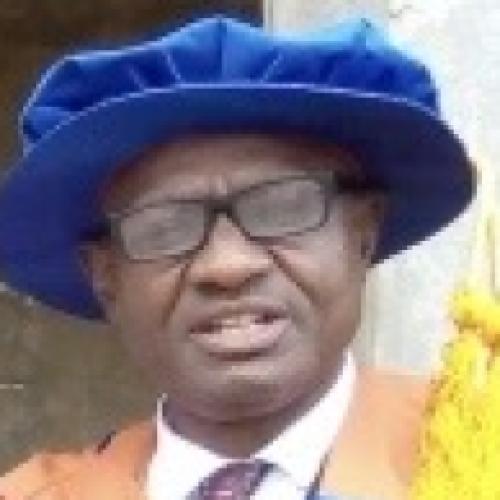 Profile picture of PETER IKENNA IKEMEFUNA IKOKWU
