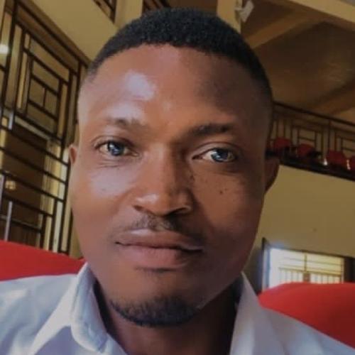 Profile picture of OKADIGWE CHUKWUJEKWU JOHN