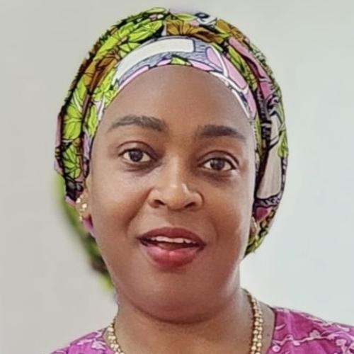 Profile picture of AMAKA YVONNE OKAFOR PhD