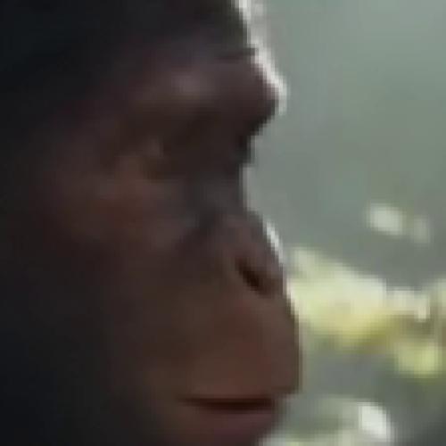 Profile picture of Michael Onwuchekwa